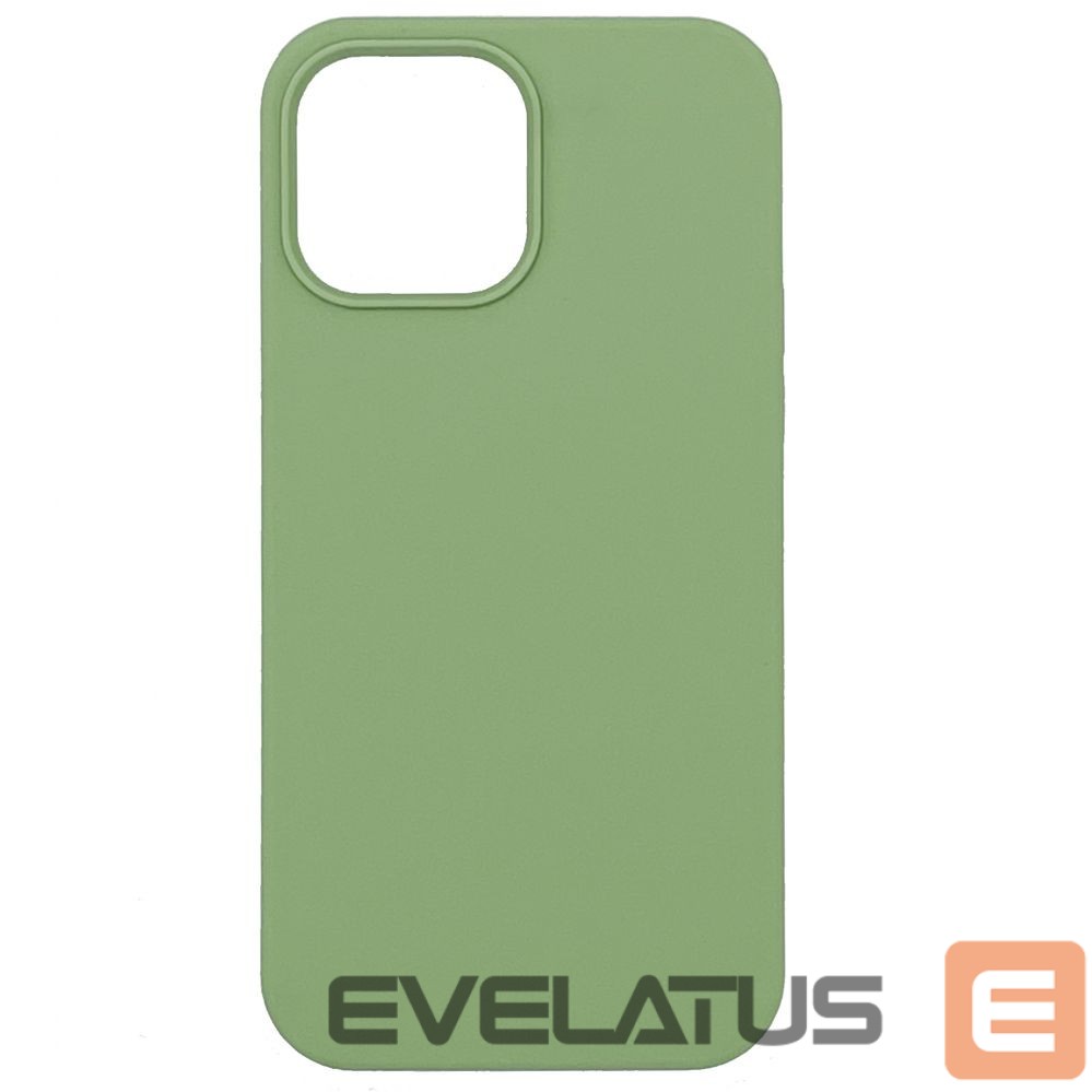Чехол на заднюю панель Evelatus Apple iPhone 12 Pro Max Premium Soft Touch Silicone Case Mint