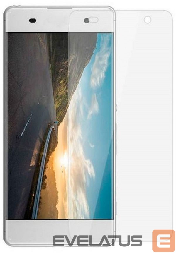 Защитное стекло Evelatus Sony Xperia XA F3111