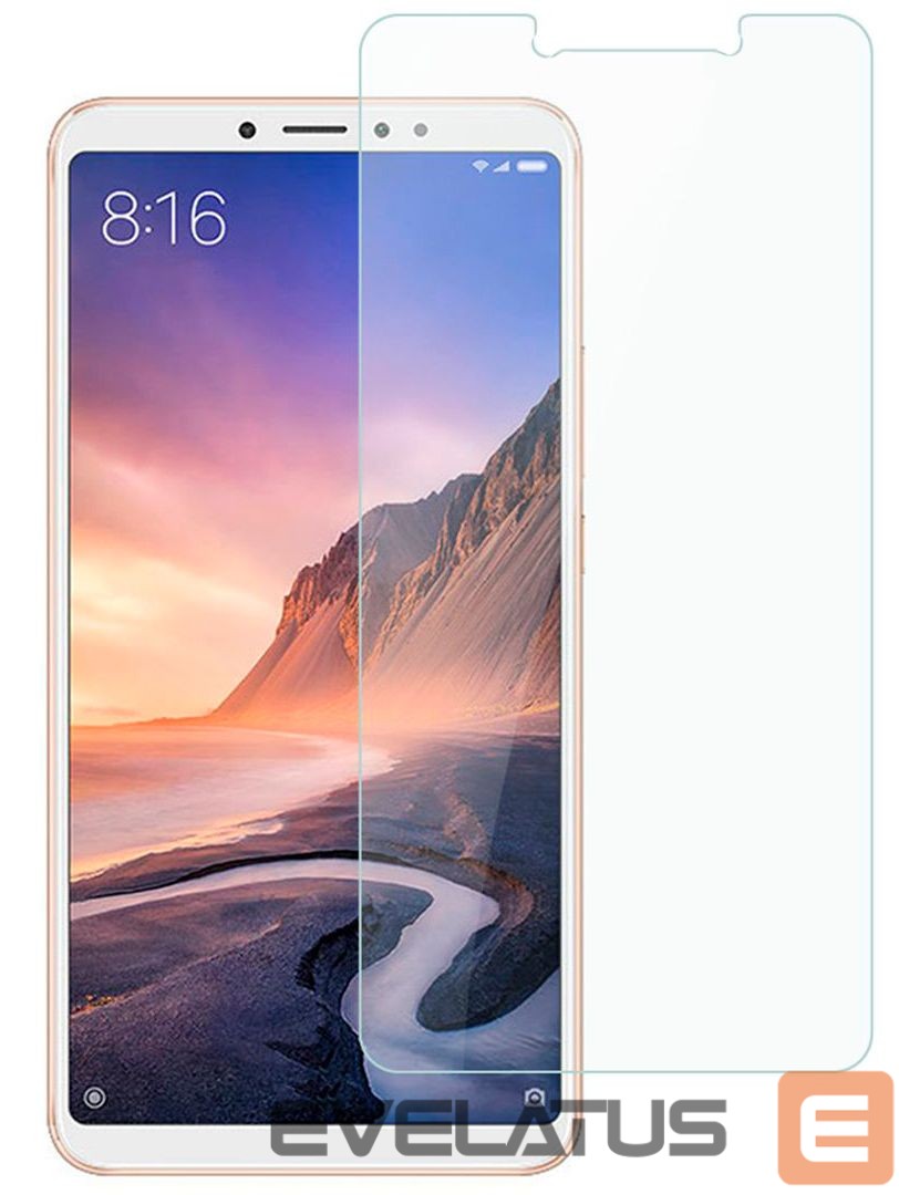 Защитное стекло Evelatus Xiaomi Mi Max