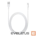 Кабель Apple  MD819 - iPhone Cable 7/8/X (2m)