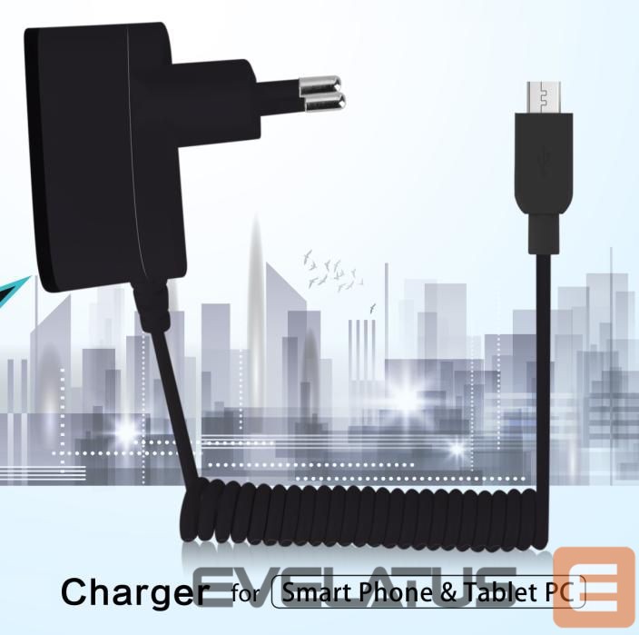 Адаптер N/A MicroUSB Cable Charger N/A Black