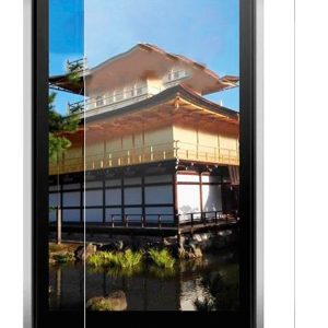 Защитное стекло Evelatus Blackview BV8000 Pro