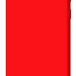 Чехол на заднюю панель Evelatus Samsung Galaxy S10 Premium Soft Touch Silicone Case Red