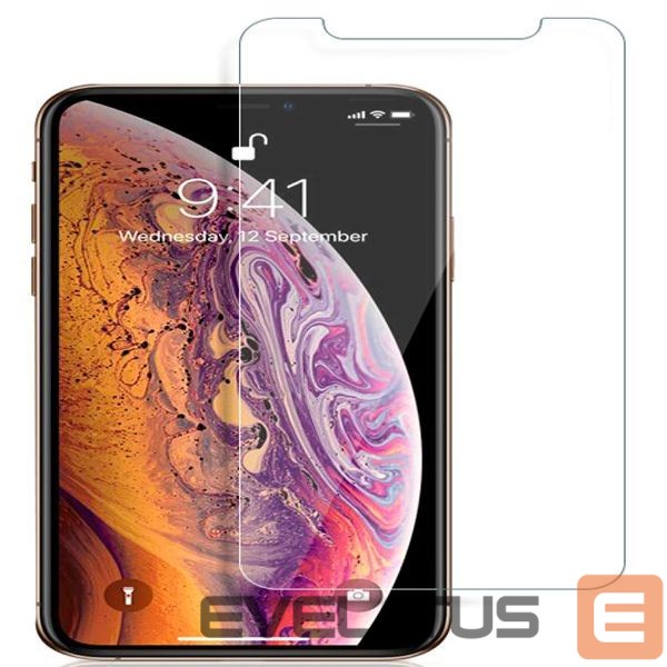 Защитное стекло Evelatus Apple iPhone XS Max/11 Pro Max 0.33 Flat Clear Glass Japan Glue Anti-Static