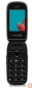 Мобильный телефон Evelatus  WAVE 2020 DS (EW02BK) Graphite Black