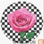 Универсальный держатель (Popsocket) Popsockets  PT-SK8R GRL-BK 
