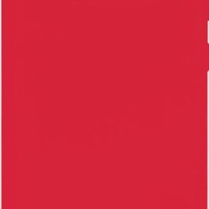 Чехол на заднюю панель Evelatus Samsung Galaxy S10 Nano Silicone Case Soft Touch TPU Red