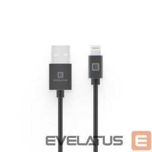 Кабель Evelatus  Evelatu Lightning cable 2M MFI07 Black