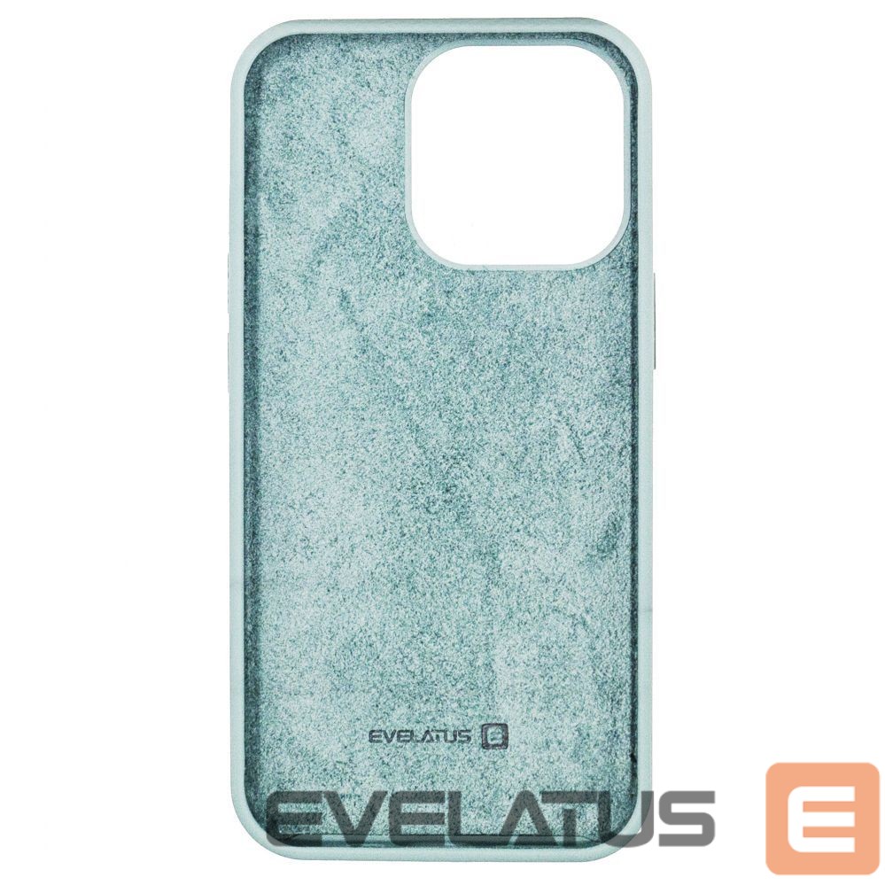 Чехол на заднюю панель Evelatus Apple Evelatus iPhone 13 Pro Max Premium Soft Touch Silicone case Gem Green