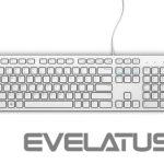 Компьютерная клавиатура Dell  KB216 Multimedia, Wired, EN, USB, White 