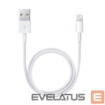 Кабель Apple  Lightning to USB Cable 1m Model A1480 