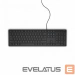 Компьютерная клавиатура Dell  KB216 Standard, Wired, Chiclet style, RU, Black, Numeric keypad, 503 g 