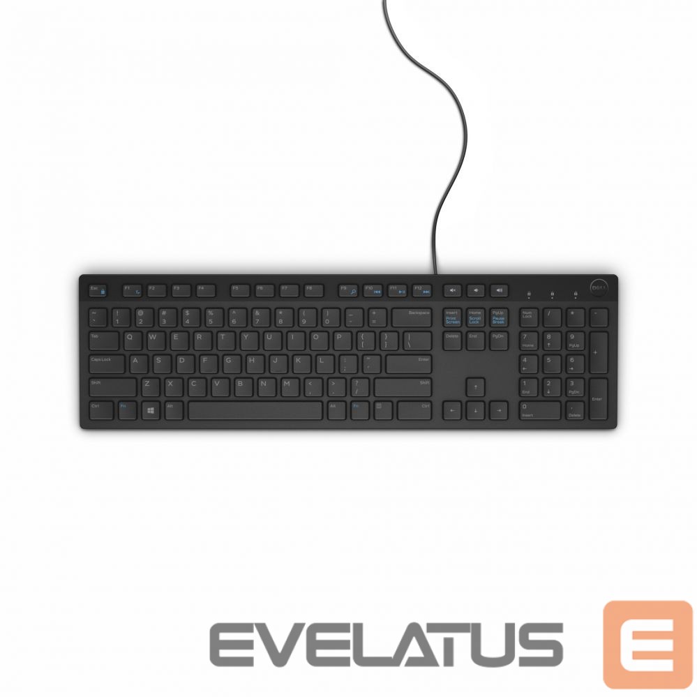Компьютерная клавиатура Dell KB216 Standard, Wired, Chiclet style, RU, Black, Numeric keypad, 503 g