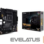Материнская плата для процессоров AMD Asus  Mainboard||AMD B550|SAM4|MicroATX|1xPCI-Express 3.0 1x|1xPCI-Express 3.0 16x|2xM.2|1xPCI-Express 4.0 16x|Memory DDR4|Memory slots 4|1xHDMI|1xDisplayPort|2xUSB 2.0|1xUSB type C|5xUSB 3.2|1xPS/2|1xOptical S/PDIF|1xRJ45|5xAudio port|TUFGAMINGB550M-PLUS 