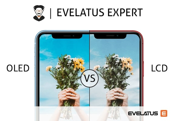 Evelatus Expert – В чем разница между LCD и OLED?
