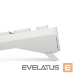 Компьютерная клавиатура Dell  Keyboard and Mouse KM5221W Pro Wireless, US, 2.4 GHz, White 