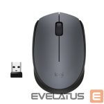 Компьютерная мышь Logitech  M170 Wireless Mouse, Black, Grey 