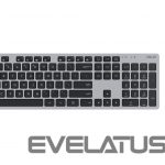 Компьютерная клавиатура Asus  W5000 KEYBOARD+MOUSE/GY/UI/90XB0430-BKM1S0/WIN11 