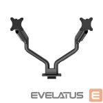 ТВ аксессуары NEOMOUNTS  MONITOR ACC DESK MOUNT 17-35"/DS70S-950BL2 