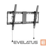 Кронштейн для телевизора Gembird  TV wall mount  	WM-80T-01 37-80 ", Maximum weight (capacity) 70 kg, Black 