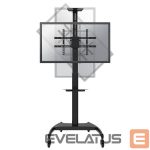 ТВ аксессуары NEOMOUNTS  TV SET ACC FLOOR STAND BLACK/37-70" PLASMA-M1900E 