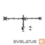 ТВ аксессуары Gembird  DISPLAY ACC MOUNTING ARM/17-27" MA-D3-01 
