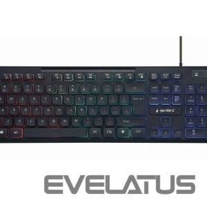 Компьютерная клавиатура Gembird  KEYBOARD MULTIMEDIA USB ENG/BLACK KB-UML3-02 