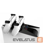 Контроллер Saitake  Dual charging station Dock for Sony Play Station 5 PS5 Controllers console shape Black White