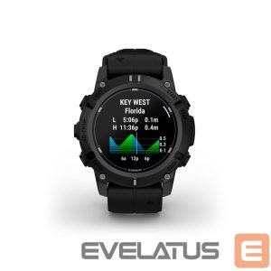 Умные часы Garmin  Descent G2 Black with Black Band 