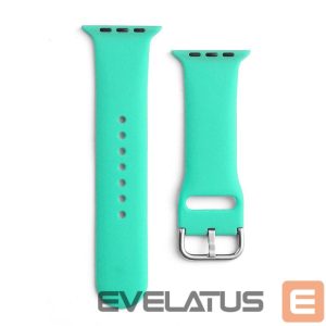 Ремешок Hurtel  Mint 