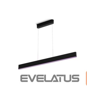 Настольная лампа Philips Hue  Ensis pendant black 79W 24V | 79 W | White and Colour Ambiance 2000-6500K 