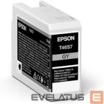 Аксессуары и расходные материалы EPSON  UltraChrome Pro 10 ink T46S7 Ink cartrige, Grey 