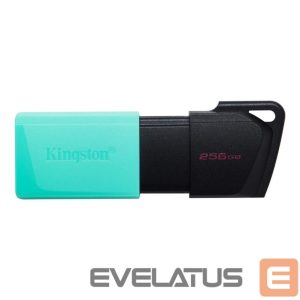 Флеш-накопитель Kingston  MEMORY DRIVE FLASH USB3.2/256GB DTXM/256GB 