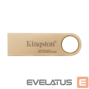 Флеш-накопитель Kingston  MEMORY DRIVE FLASH USB3.2/256GB DTSE9G3/256GB 