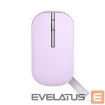 Компьютерная мышь Asus  Marshmallow Mouse | MD100 | Mouse | 2.4 GHz, Bluetooth | Beige 