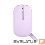 Компьютерная мышь Asus  Wireless Mouse MD100 Wireless, Blue, Bluetooth 