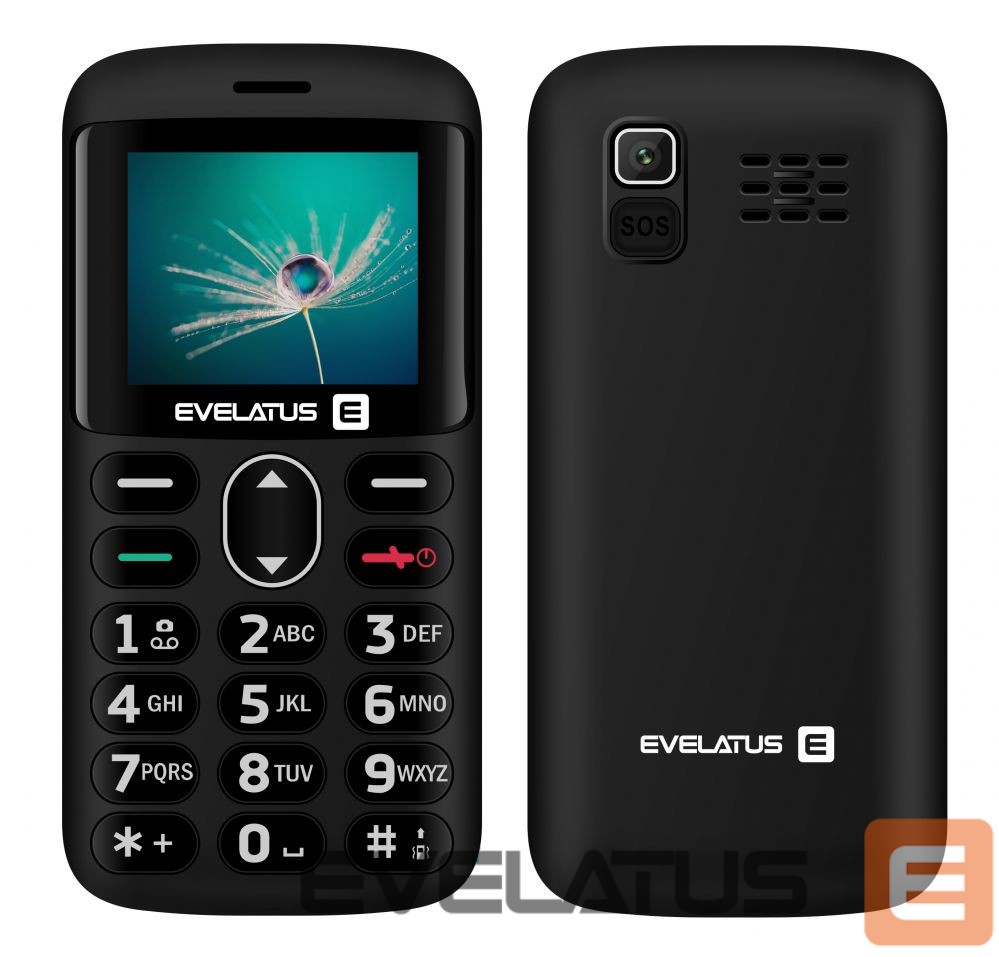 Мобильный телефон Evelatus ARON 2020 DS (EA02BK) Graphite Black