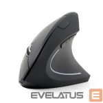 Компьютерная мышь Gembird  MOUSE USB OPTICAL WRL BLACK/ERGONOMIC MUSW-ERGO-01 