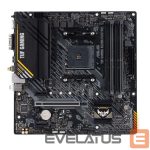 Материнская плата для процессоров Intel Asus  TUF GAMING A520M-PLUS Processor family  AMD, Processor socket AM4, DDR4, Memory slots 4, Supported hard disk drive interfaces 	SATA, M.2, Number of SATA connectors 4, Chipset  AMD A520, Micro ATX 