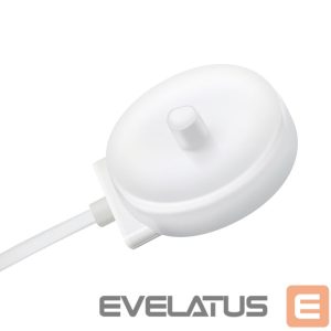 Другие товары Hurtel  HLS-01 charger for Oral-B electric toothbrushes 1m - white 
