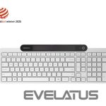 Компьютерная клавиатура Lenovo  800 Self-Charging Bluetooth Keyboard-US English | Keyboard | Bluetooth | US English | White 