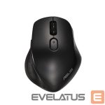 Компьютерная мышь Asus  MOUSE BLUETH USB OPTICAL MW203/BLACK 90XB06C0-BMU000 