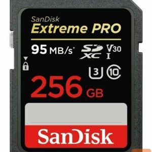 Другой аксессуар для компьютера SANDISK BY WESTERN DIGITAL  MEMORY SDXC 256GB UHS-1/SDSDXXD-256G-GN4IN SANDISK 