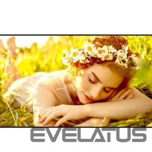 Монитор LG  4K UHD Signage | 65UL5Q-E | 65 " | 500 cd/m² | Landscape/Portrait | 24/7 | webOS | 8 ms | 178 ° | 178 ° 