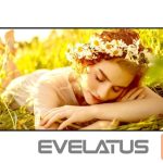 Монитор LG  4K UHD Signage | 55UL5Q-E | 55 " | 500 cd/m² | Landscape/Portrait | 24/7 | webOS | Wi-Fi | 178 ° | 178 ° 