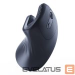 Компьютерная мышь Gembird  MOUSE USB OPTICAL WRL BLACK/ERGONOMIC MUSW-ERGO-03 