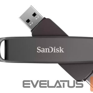Флеш-накопитель SANDISK BY WESTERN DIGITAL  MEMORY DRIVE FLASH USB-C 1TB/SDDDE1-1T00-G46 