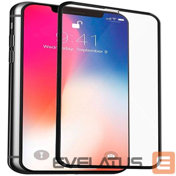 Защитное стекло Evelatus Apple iPhone X/XS/11 Pro Matte 2.5D Silk Cover Japan Glue Glass Anti-Static