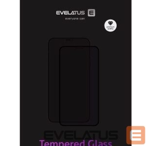 Защитное стекло Evelatus Apple iPhone 12 Pro Max 6.7'' 0.33 Flat Clear Glass Japan Glue Anti-Static 