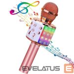 Микрофон HQ  Royal Song WS-858 Karaoke Kids & Adult Fun Effect Microphone with Speakers & Recodr Micro SD USB 
